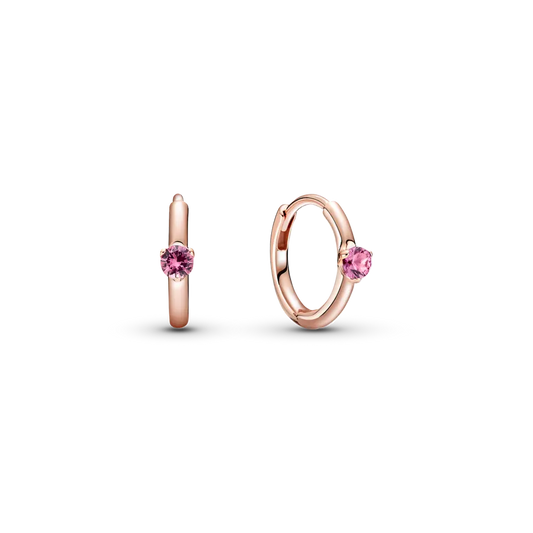 Pink stone hoop Earrings